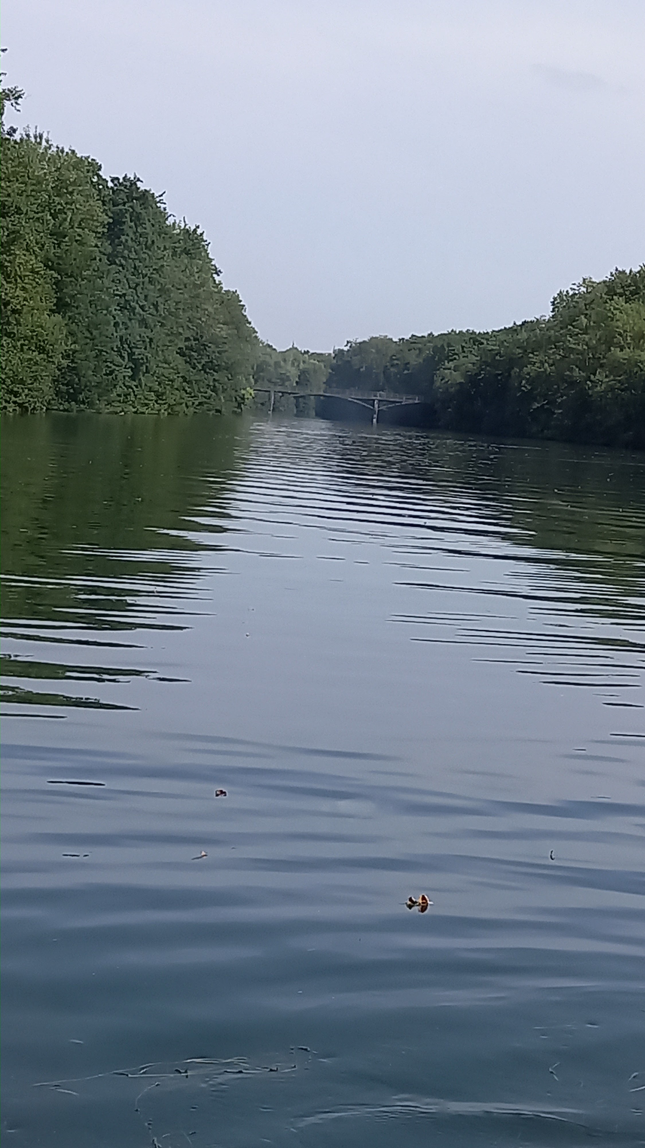Photo n° 2 de l'avis de Claudine.e fait le 13/08/2021 à 19:10