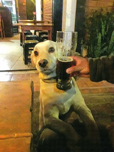 SHAMAN Cerveza Artesanal