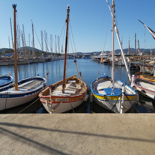 Location Bandol à Bandol