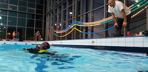 Aquablues s.r.o. - kurzy potápění pro dospělé a děti