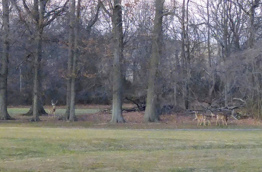 Golf Course «South Shore Golf Course», reviews and photos, 200 Huguenot Ave, Staten Island, NY 10312, USA