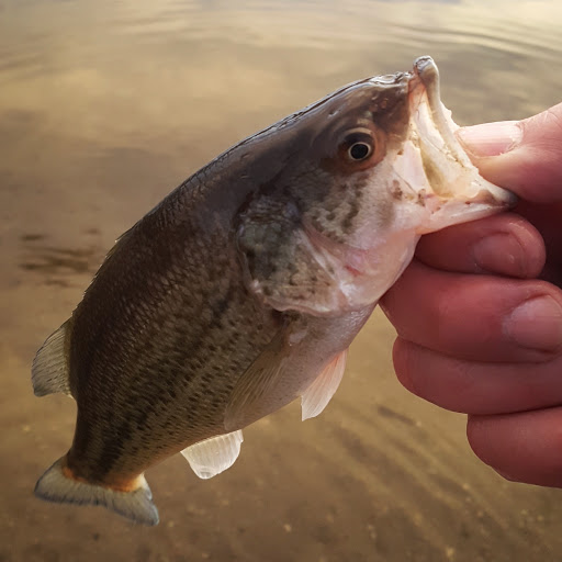 Park «Garland Park», reviews and photos, 6300 E Mississippi Ave, Denver