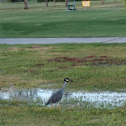 Golf Course «Bayou Golf Course», reviews and photos, 2800 Ted Dudley Dr, Texas City, TX 77591, USA