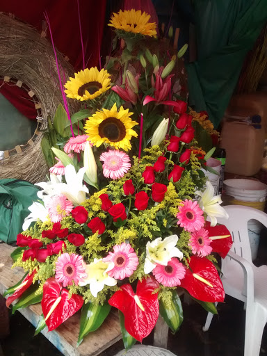 Floreria Margarita – José Cardel