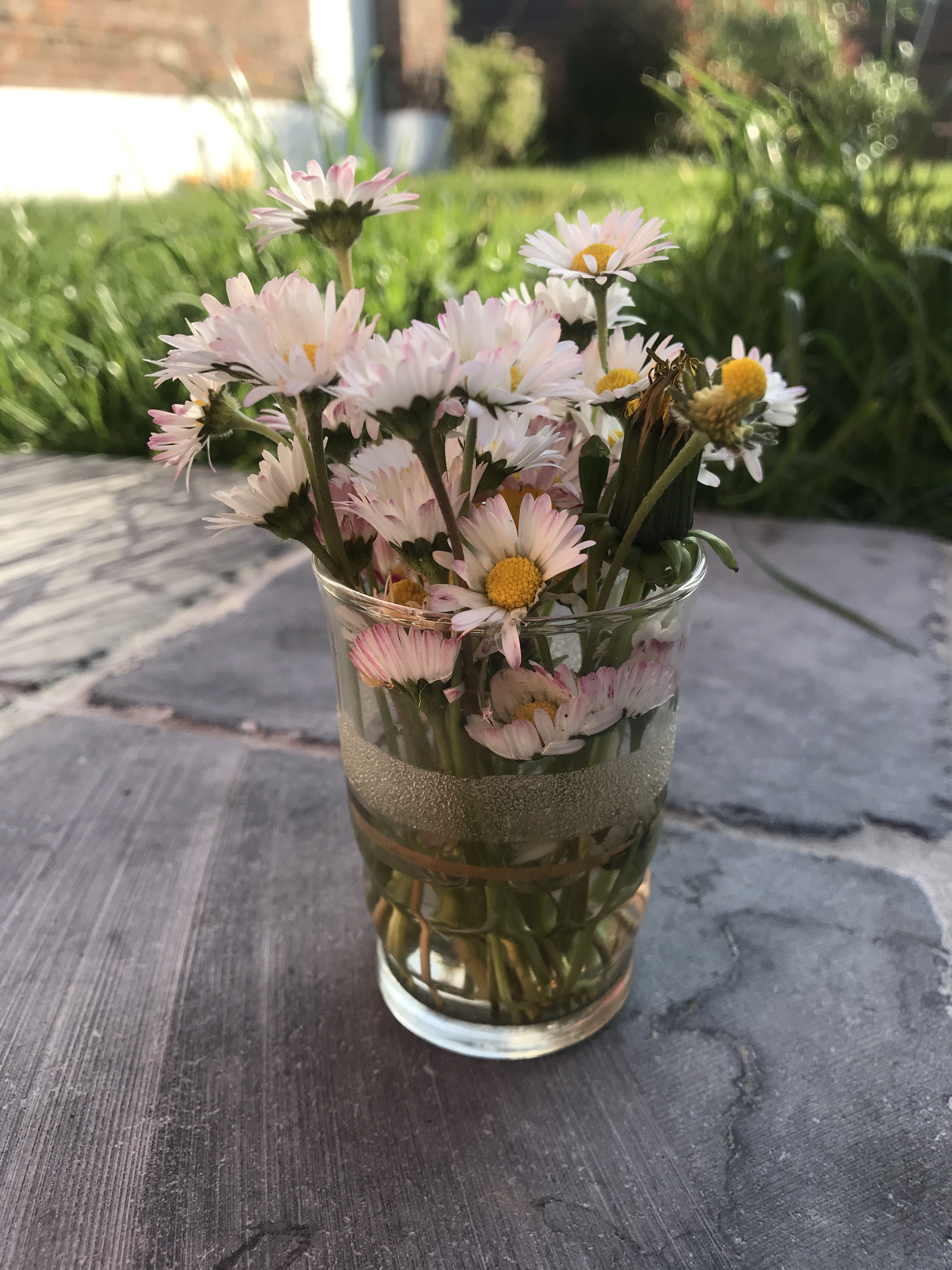 Photo n° 1 de l'avis de Envie.e fait le 03/01/2021 à 13:14