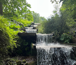 Old Botanical Garden photo
