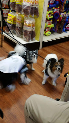 Pet Supply Store «Pet Supermarket», reviews and photos, 2924 13th St, St Cloud, FL 34769, USA