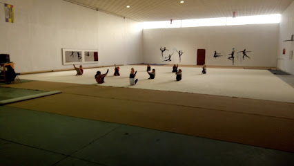 Club Gimnasia Rítmica Plasencia - Av. Martín Palomino, 12, 10600 Plasencia, Cáceres, Spain