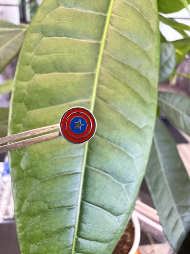 Explore elephant head tattoo ideas, creative tattoo ideas in Milwaukee, available at Beauty is Pain Tattoo and Body Piercings