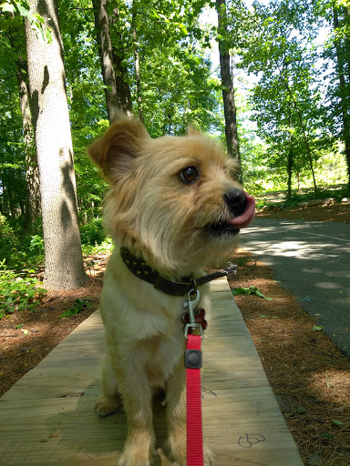 Park «Best Friend Park», reviews and photos, 6224 Jimmy Carter Blvd, Norcross, GA 30071, USA