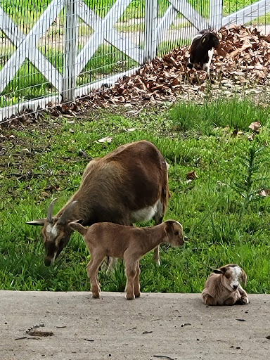 Golf Course «Drumm Farm Golf Club», reviews and photos, 15400 E 34th St S, Independence, MO 64055, USA