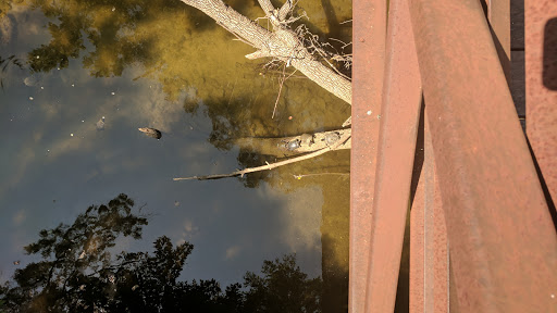 Park «Bob Eden Park», reviews and photos, 901 W Mid Cities Blvd, Euless, TX 76039, USA