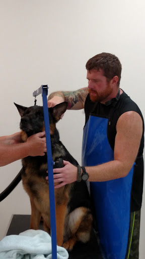 Pet Supply Store «Healthy Pet Center», reviews and photos, 775 New Loudon Rd, Latham, NY 12110, USA