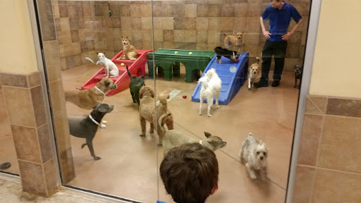 Pet Supply Store «PetSmart», reviews and photos, 310 N White Horse Pike, Lawnside, NJ 08045, USA