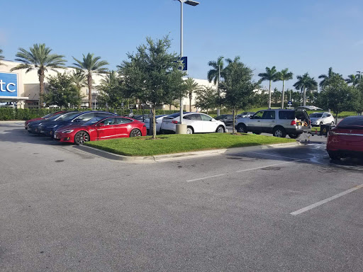 Absolute Perfection Mobile Detailing and LLC. en Lakewood Ranch