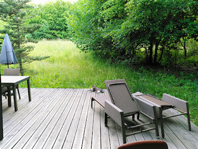 Cottage 852 à Niderhoff