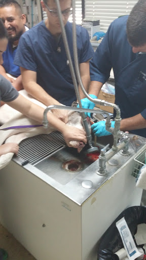 Pet Supply Store «Veterinary Medical Center and Specialty Pet Supply», reviews and photos, 8165 Morro Rd, Atascadero, CA 93422, USA