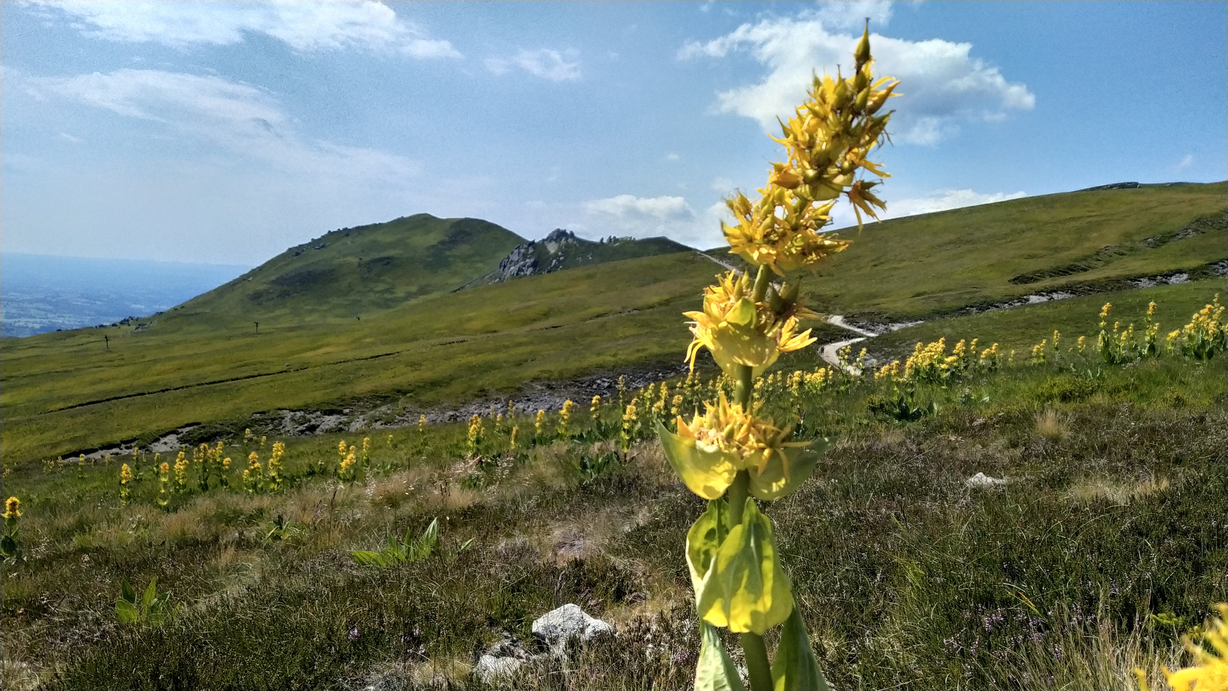 Photo n° 6 de l'avis de TaZx.a fait le 22/07/2020 à 21:30