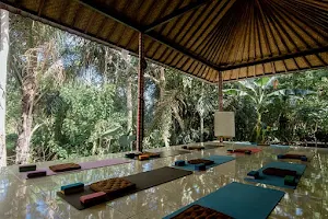 Bali Yoga Center - Yoga Teacher Training & Retreat in Bali image