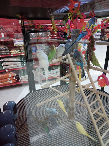 Pet Supply Store «Petco Animal Supplies», reviews and photos, 2353 SE Federal Hwy, Stuart, FL 34994, USA