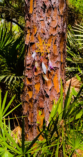 Nature Preserve «Gator Creek Reserve», reviews and photos, 9725 US Hwy 98 N, Lakeland, FL 33809, USA