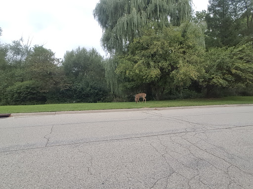 Public Golf Course «Greenfield Golf Course», reviews and photos, 12035 W Greenfield Ave, Milwaukee, WI 53214, USA