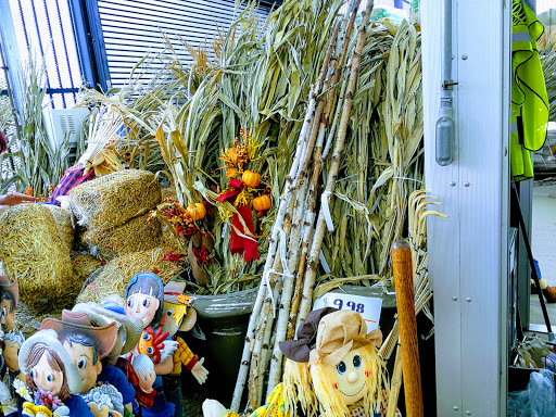 Home Improvement Store «The Home Depot», reviews and photos, 14053 S Bell Rd, Homer Glen, IL 60491, USA