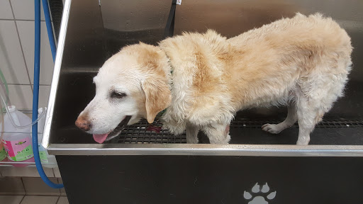 Pet Supply Store «Pet Supplies Plus», reviews and photos, 9430 W 159th St, Orland Park, IL 60467, USA