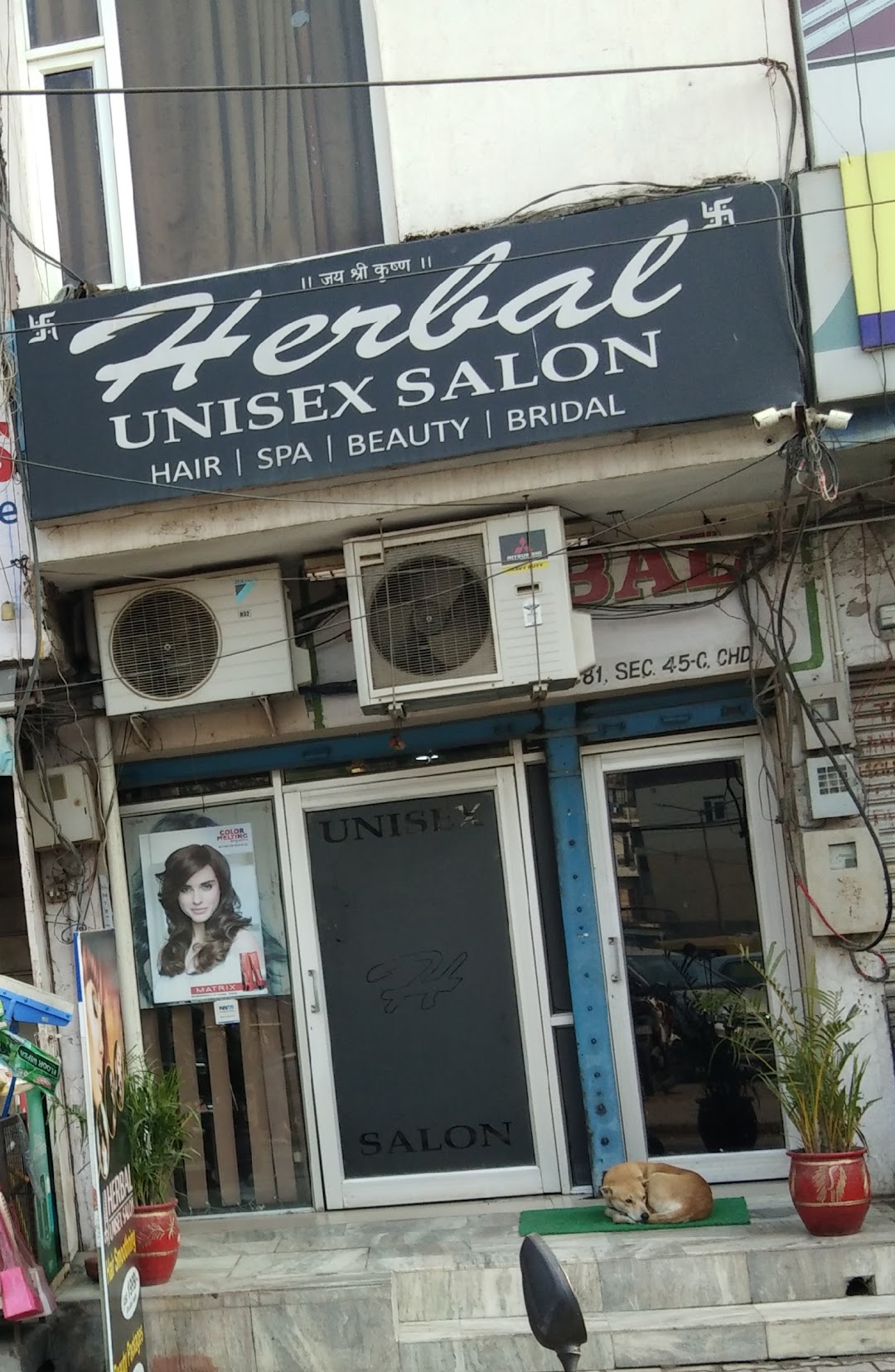Herbal Unisex Salon