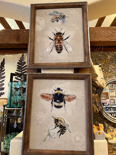 Boutique «Terra Verde Boutique», reviews and photos, 208 N Tejon St, Colorado Springs, CO 80903, USA