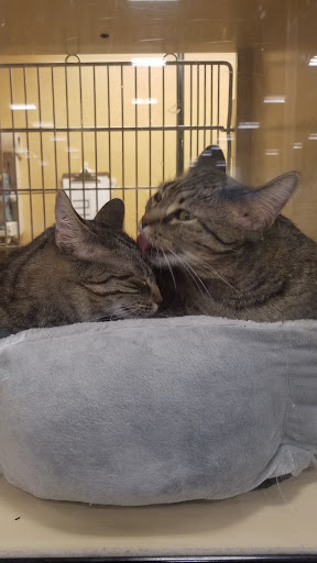 Pet Supply Store «PetSmart», reviews and photos, 8695 Park Meadows Center Dr, Lone Tree, CO 80124, USA