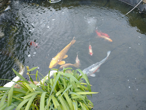 Landscaper «Reynolds Landscaping, Garden Shop & Garden Center», reviews and photos, 201 E Bay Ave, Manahawkin, NJ 08050, USA