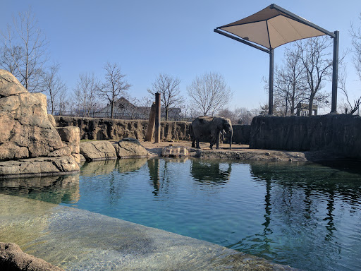 Zoo «Indianapolis Zoo», reviews and photos, 1200 W Washington St, Indianapolis, IN 46222, USA