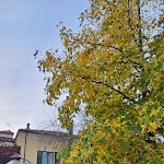 Photo n°17 de l'avis de David. fait le 12/11/2023 à 04:54 sur le  Hotel Langhe - Ca 'Dl'Uva Srl à Alba