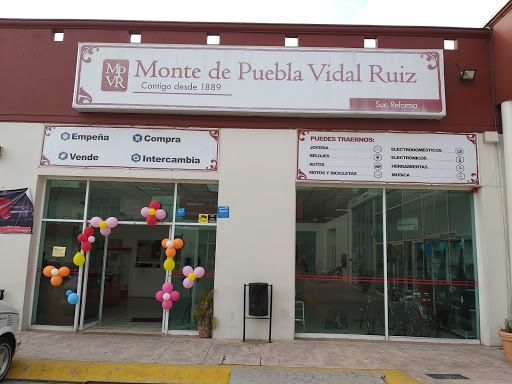 Monte de Puebla Vidal Ruiz