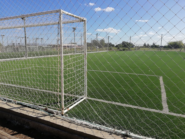 Opiniones de Planeta Fútbol en Paysandú - Campo de fútbol