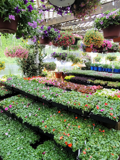 Grocery Store «Red Top Farm Market», reviews and photos, 1801 NJ-70, Southampton Township, NJ 08088, USA