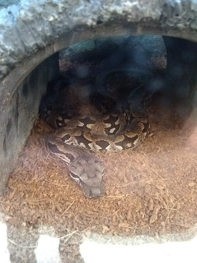 Pet Supply Store «Petco Animal Supplies», reviews and photos, 22511 TX-249, Houston, TX 77070, USA