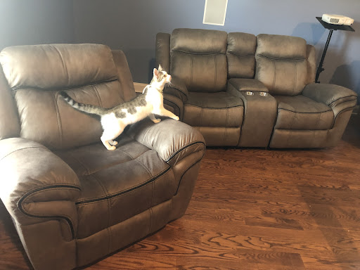 Furniture Store «American Freight Furniture and Mattress», reviews and photos, 2231 Madison St B, Clarksville, TN 37043, USA