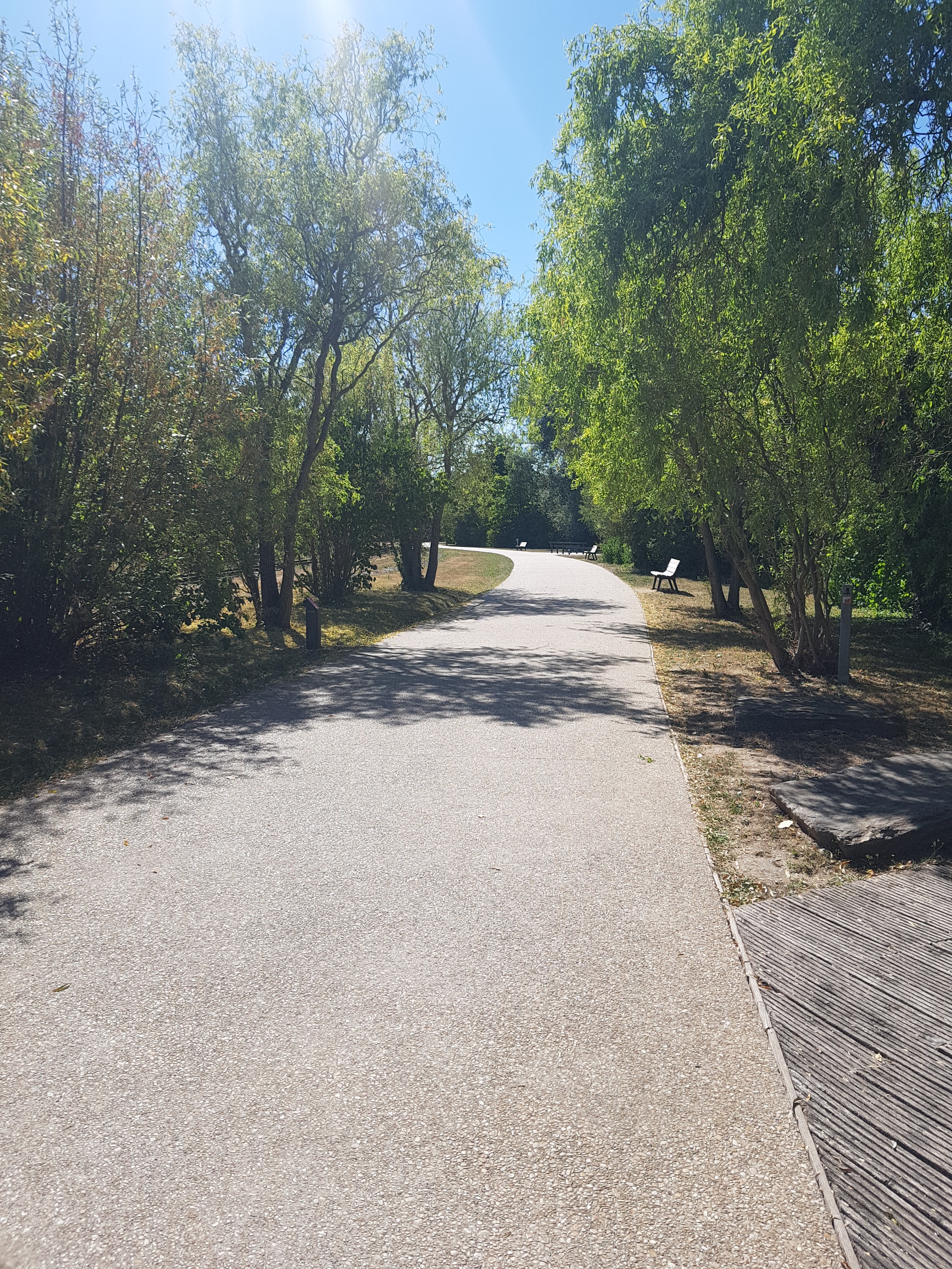 Photo n° 13 de l'avis de MATHIOT.Y fait le 29/07/2022 à 16:06