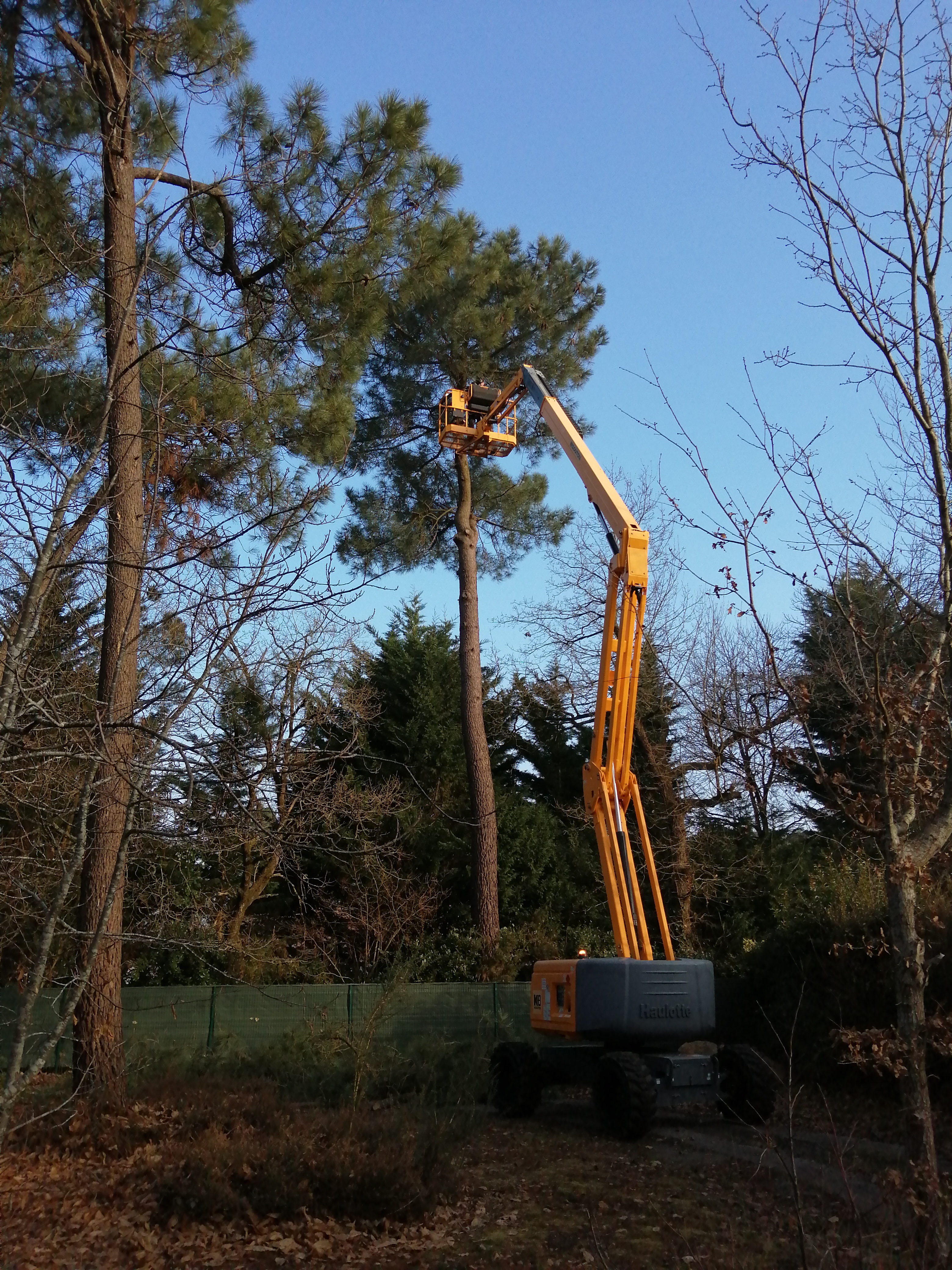 Photo n° 3 de l'avis de Olivier.u fait le 29/01/2022 à 12:51