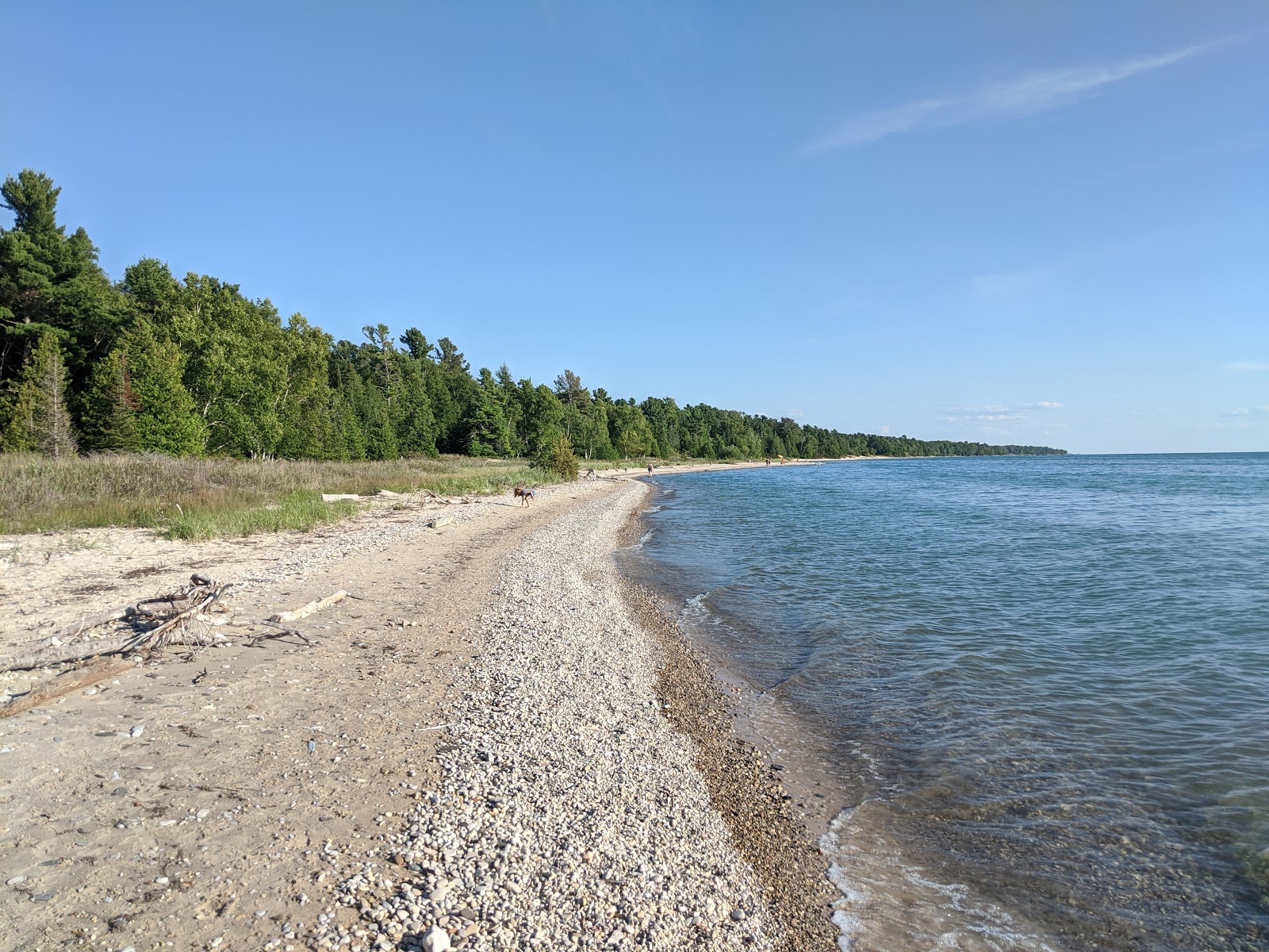 Foto von Antrim Creek Natural Area - beliebter Ort unter Entspannungskennern