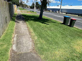 Lawn Rite East Auckland