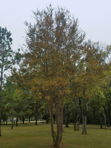 Park «J.A. Carr Park», reviews and photos, 508 Simmons Dr, Euless, TX 76040, USA