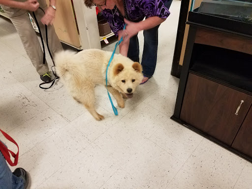 Pet Supply Store «PetSmart», reviews and photos, 2309 I-20, Grand Prairie, TX 75052, USA