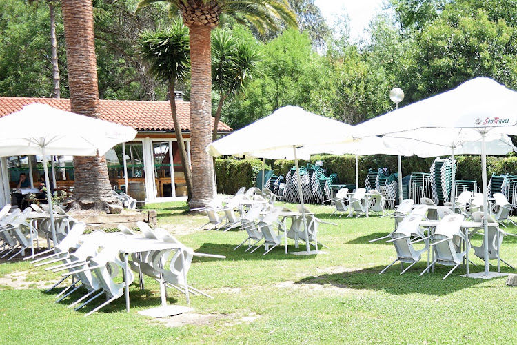 CERVECERA LA PALMERA