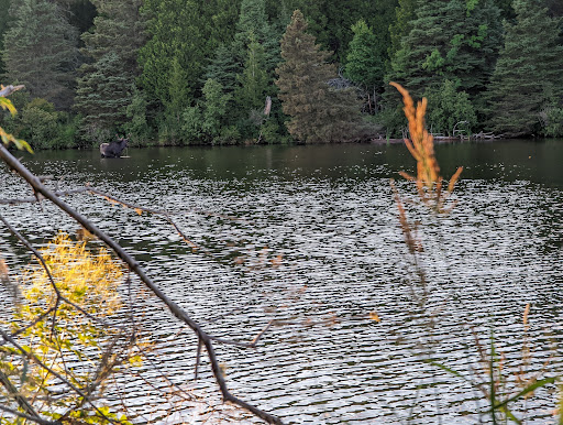 National Park «Isle Royale National Park», reviews and photos