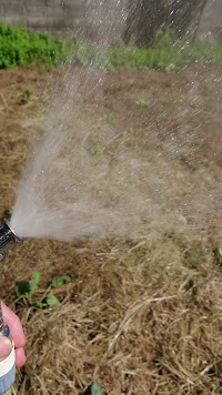 オレンジドームゆがわら