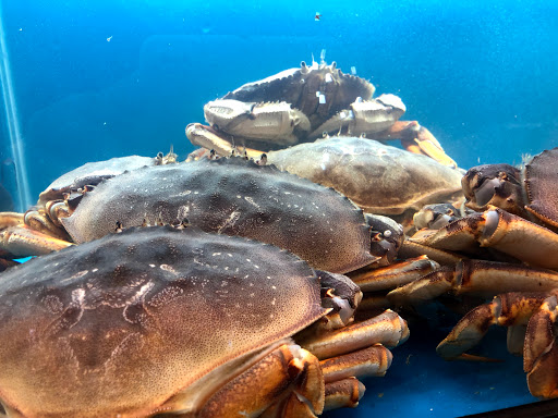 Asian Grocery Store «Saigon Market Oriental Grocery», reviews and photos, 4507 Franklin Ave, Wilmington, NC 28403, USA