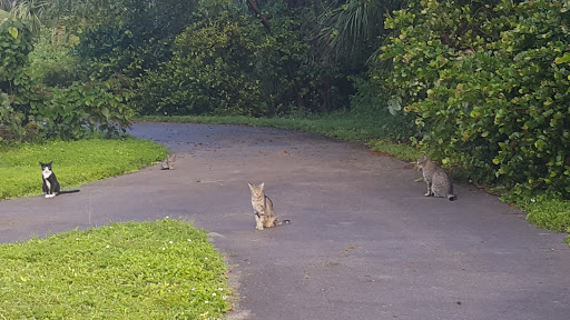 Nature Preserve «Sandy Ridge Sanctuary», reviews and photos, 8501 NW 40th St, Coral Springs, FL 33065, USA